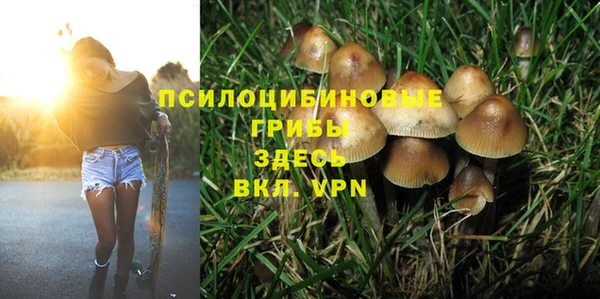 винт Алексеевка