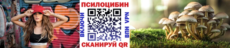 Галлюциногенные грибы Psilocybe Динская